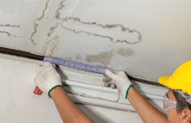 Reliable Structural Drying contractor in Clifford, MI by Water Damage Irwin